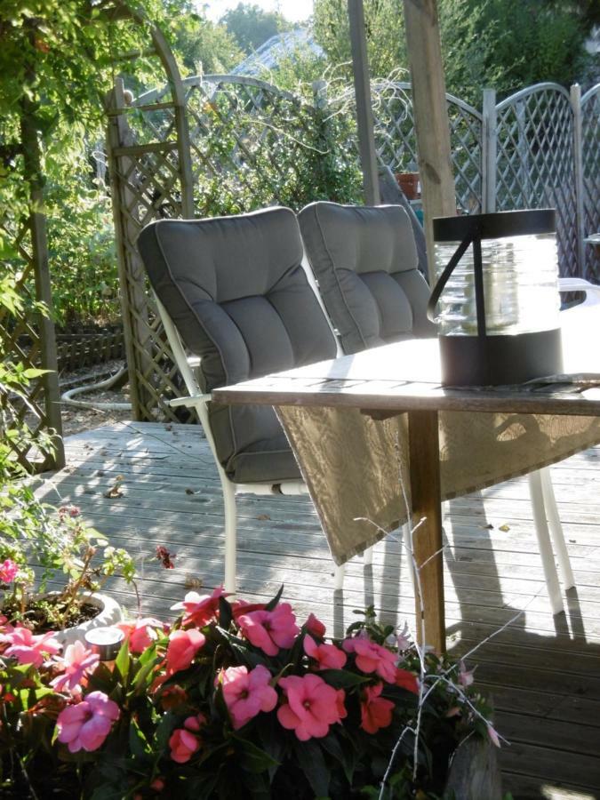 Le Chat Qui Peche B&B Châteauneuf-la-Forêt Εξωτερικό φωτογραφία