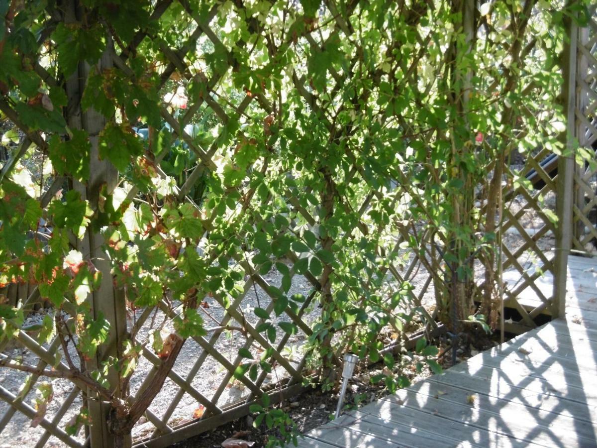Le Chat Qui Peche B&B Châteauneuf-la-Forêt Εξωτερικό φωτογραφία