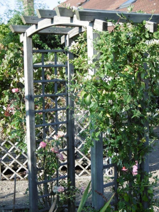 Le Chat Qui Peche B&B Châteauneuf-la-Forêt Εξωτερικό φωτογραφία